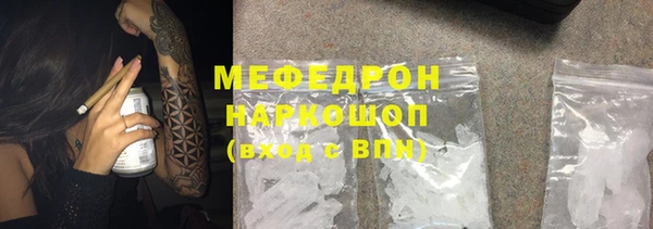 индика Богородицк