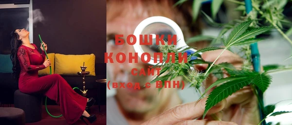индика Богородицк