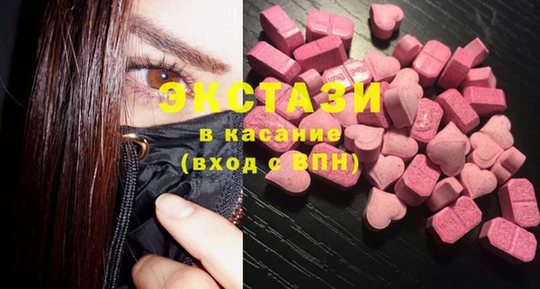 индика Богородицк
