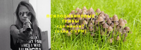 синтетический гашиш Белокуриха