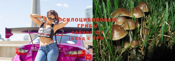 скорость Богданович