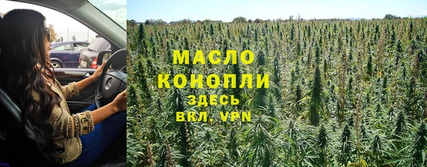 индика Богородицк