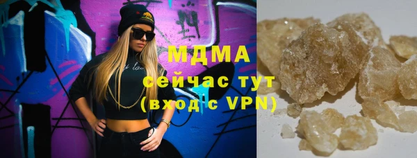 индика Богородицк