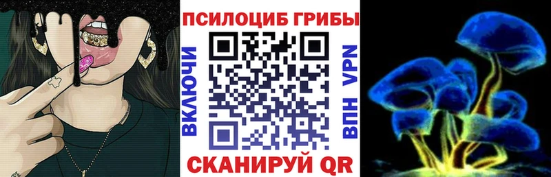 Галлюциногенные грибы Psilocybe  Купить где  Ковылкино 